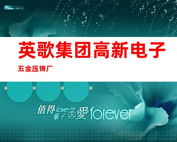 英歌集团高新电子五金压铸厂